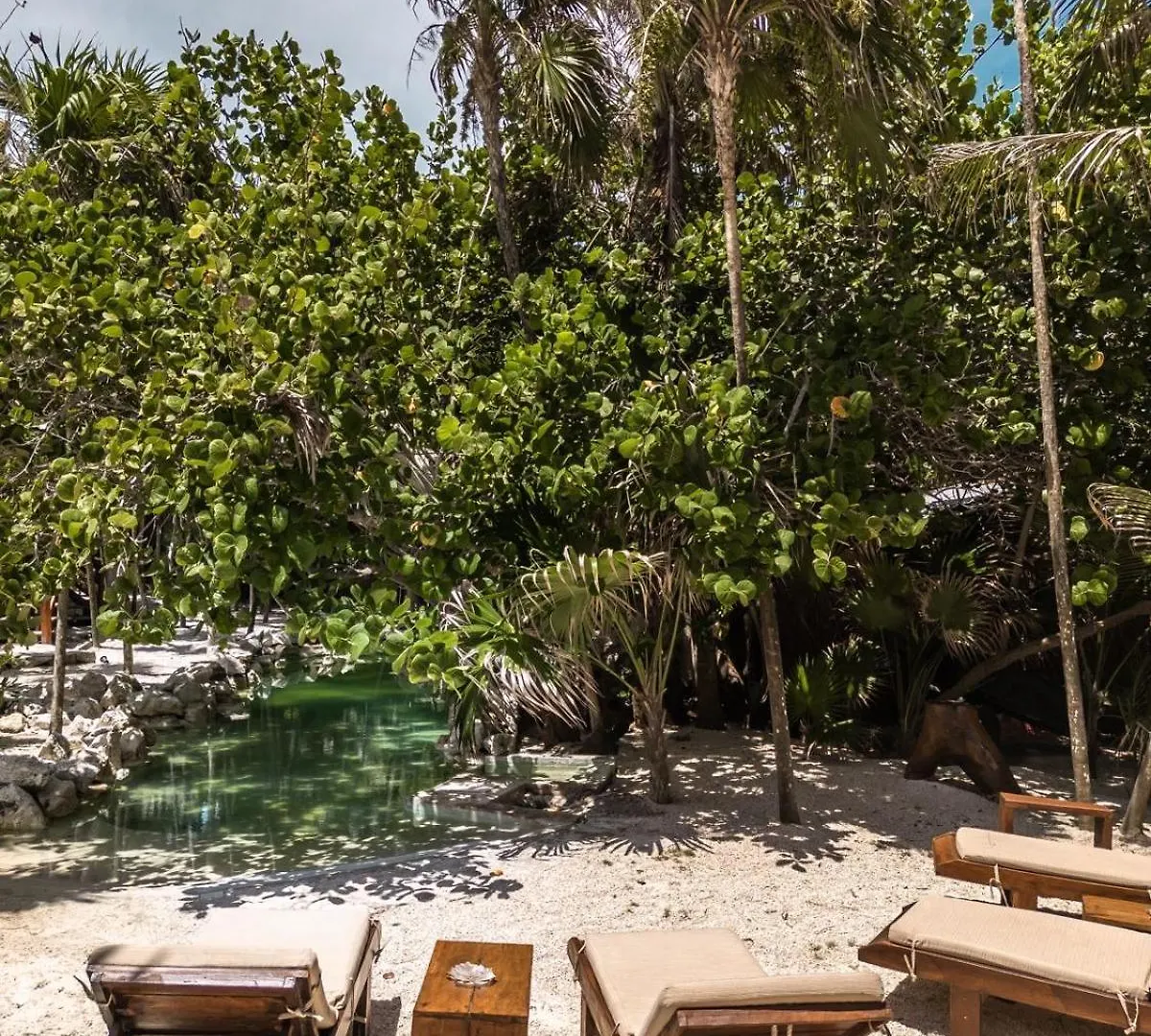 Niken Beachfront Tulum Hotel Мексика