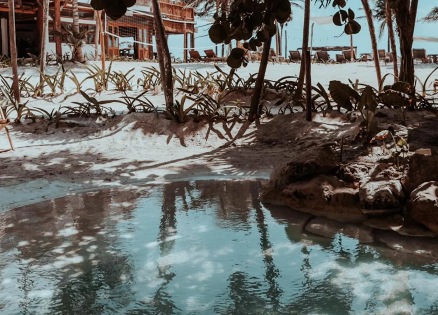 Niken Beachfront Tulum Hotel 4*,
