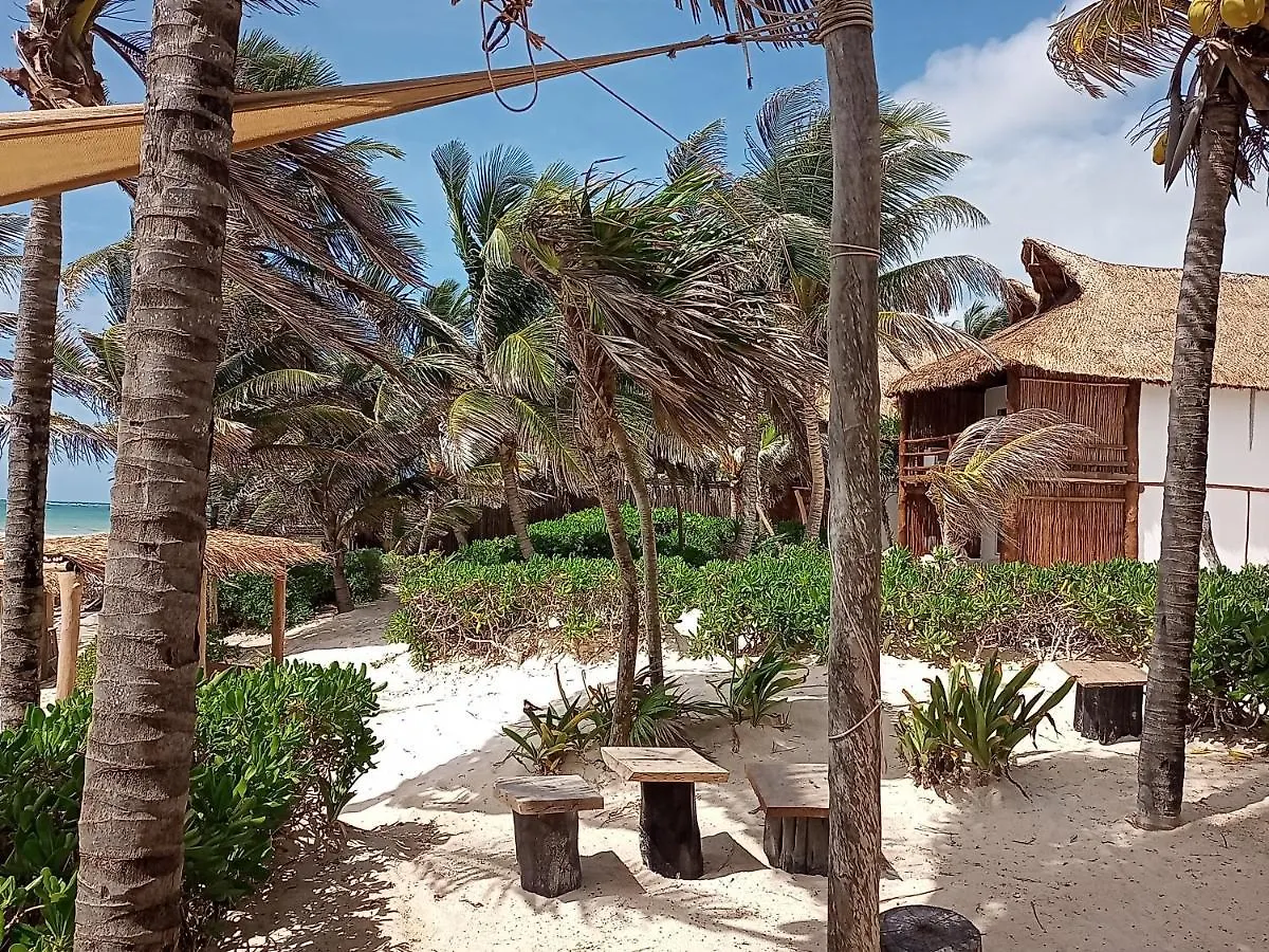 Niken Beachfront Tulum Hotel