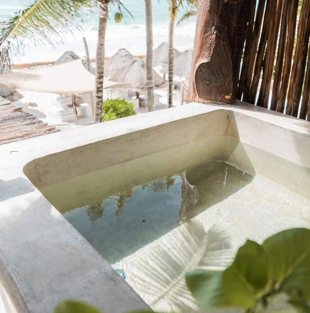 Niken Beachfront Tulum Hotel